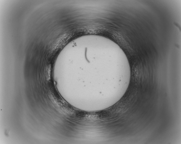 X0000102520694200808291757