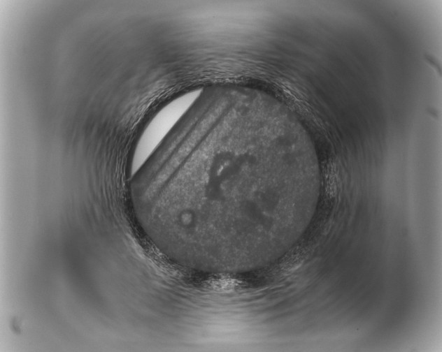 X0000102520695200808291757