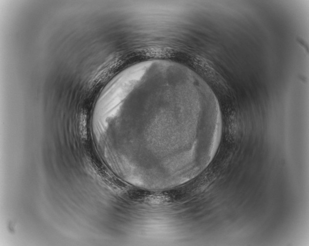 X0000102520696200808291757