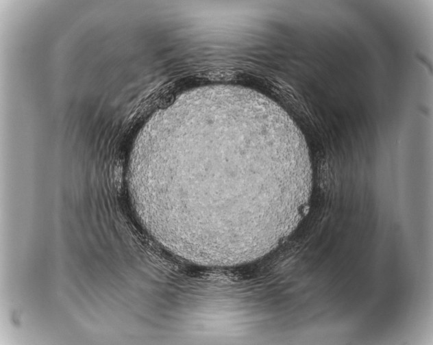 X0000102520697200808291757