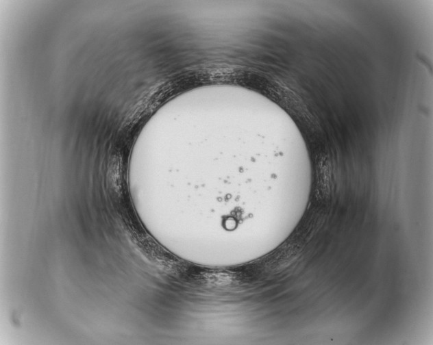 X0000102520698200808291757