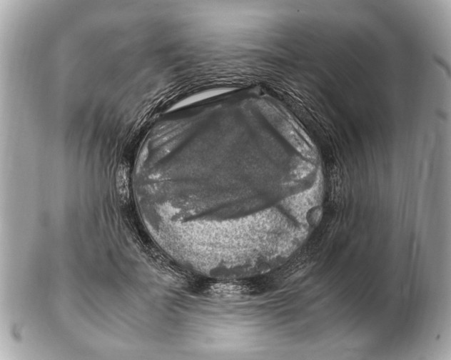 X0000102520699200808291757