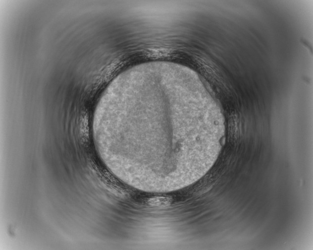 X0000102520700200808291757