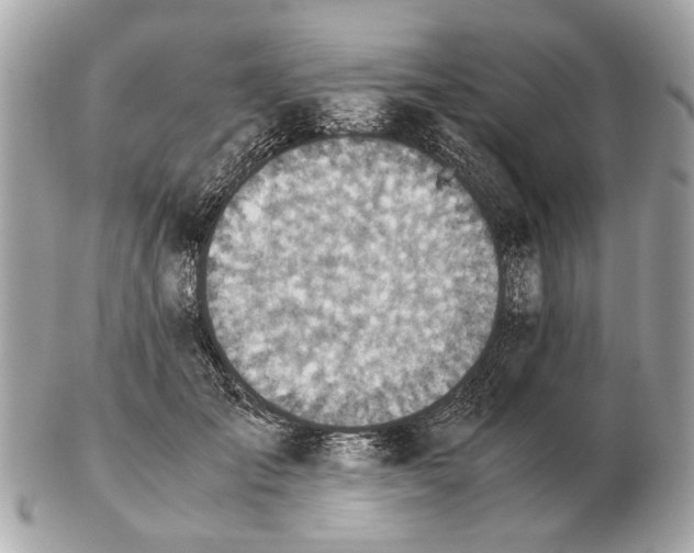 X0000102520701200808291757