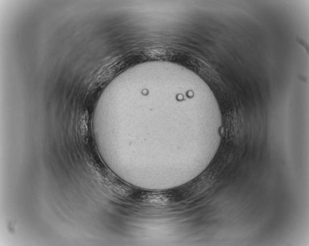 X0000102520702200808291757