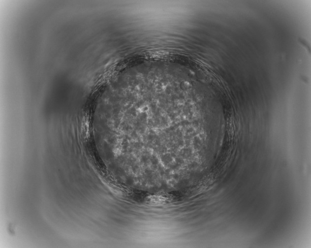 X0000102520703200808291757