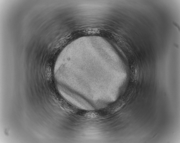 X0000102520704200808291757