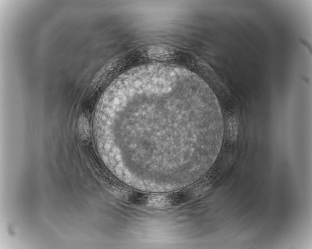 X0000102520705200808291757