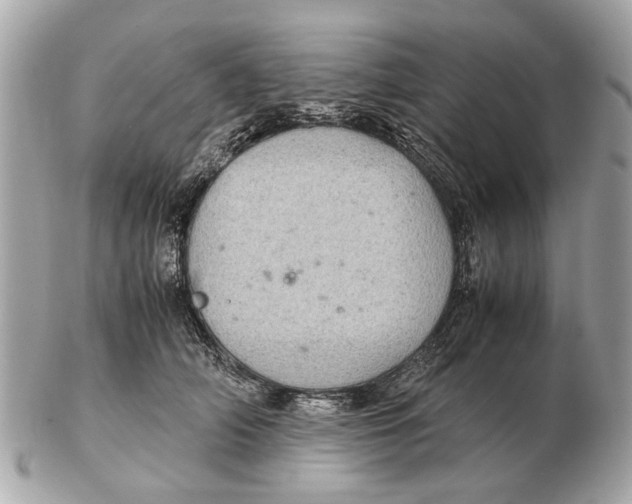 X0000102520706200808291757