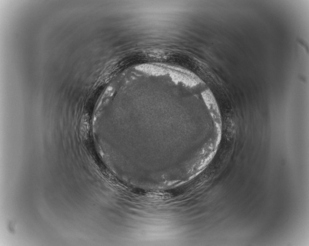 X0000102520707200808291757