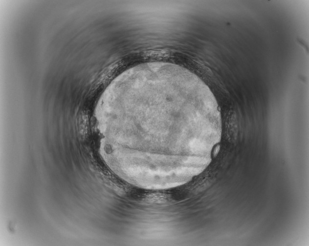 X0000102520708200808291757