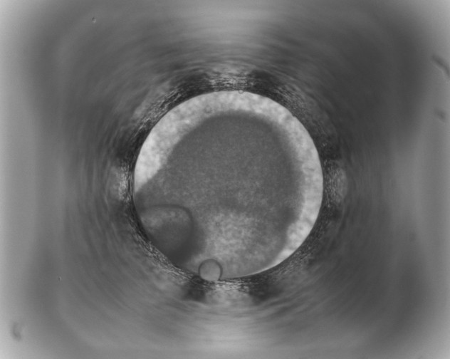 X0000102520709200808291757