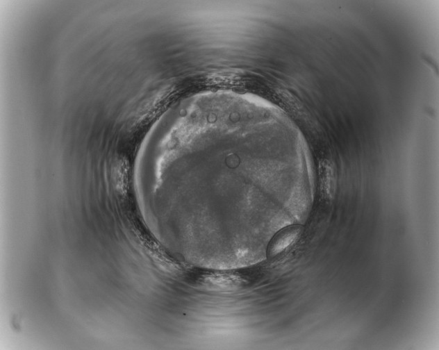 X0000102520712200808291757