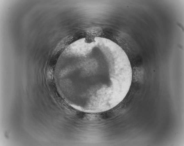 X0000102520713200808291757