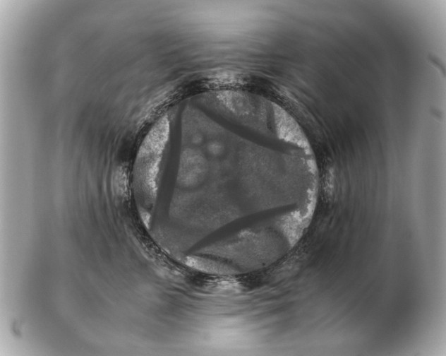 X0000102520715200808291757