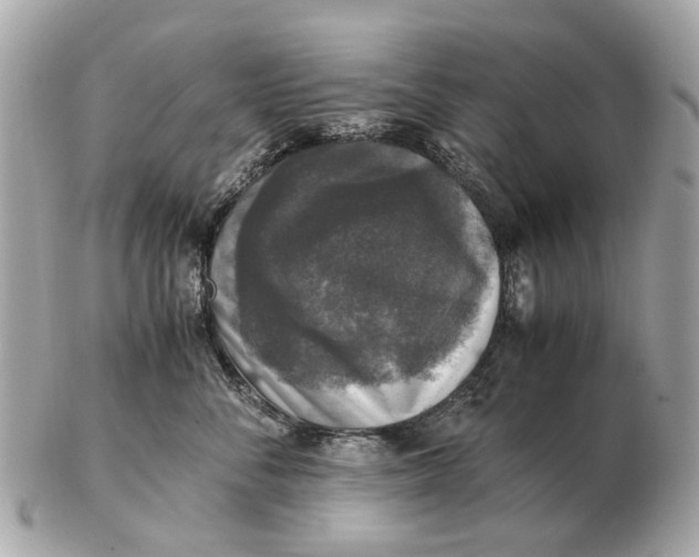 X0000102520716200808291757