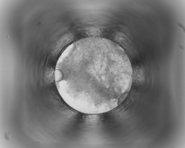 X0000102520717200808291757