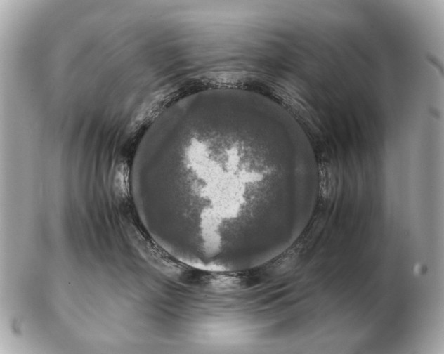 X0000102520718200808291757