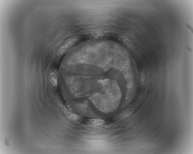 X0000102520719200808291757