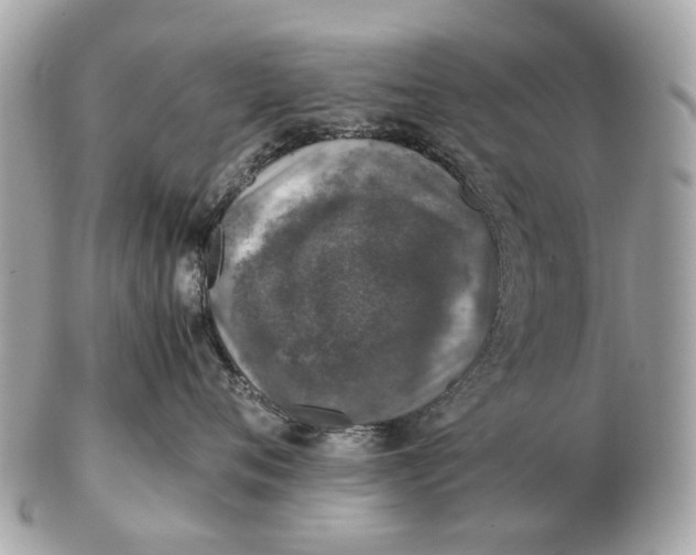 X0000102520720200808291757