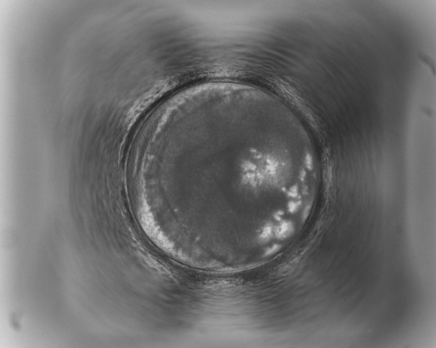 X0000102520721200808291756