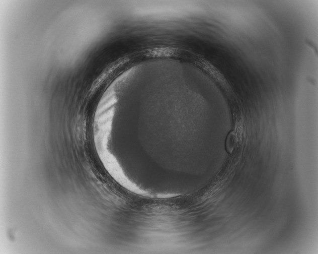 X0000102520722200808291756