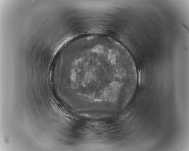 X0000102520723200808291756