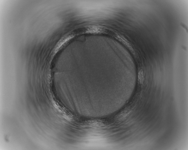 X0000102520724200808291756