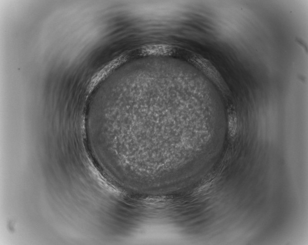 X0000102520725200808291756