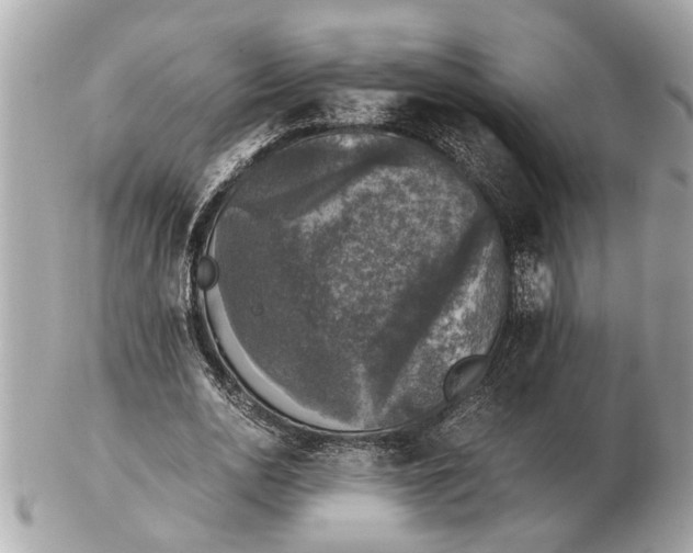 X0000102520726200808291756