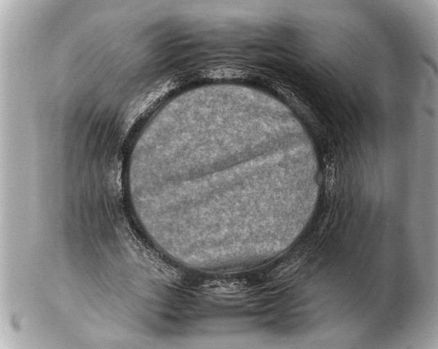 X0000102520727200808291756