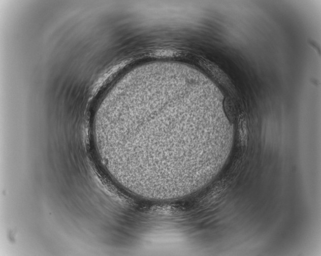 X0000102520728200808291756