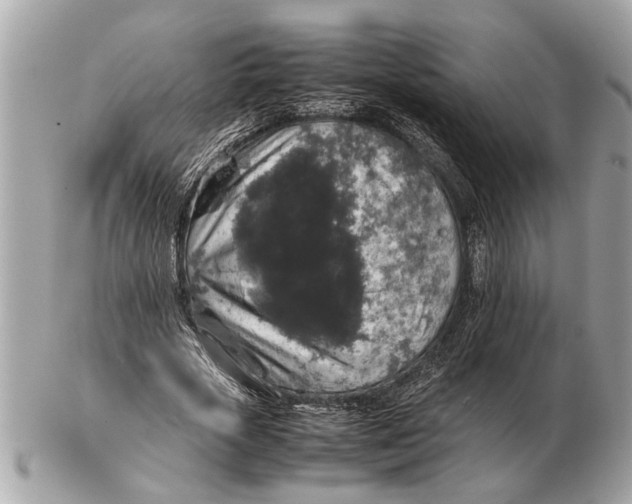 X0000102520729200808291756