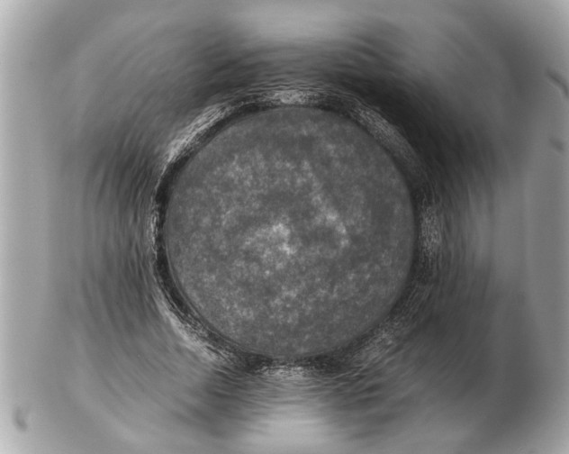 X0000102520730200808291756