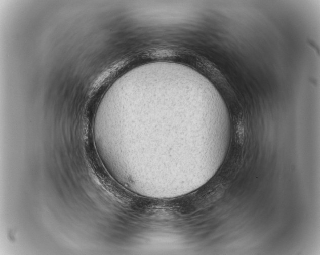 X0000102520732200808291756