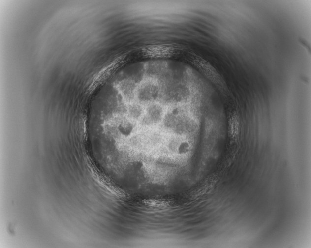 X0000102520733200808291756