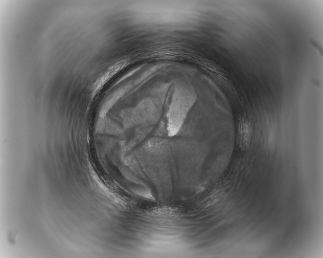 X0000102520734200808291756