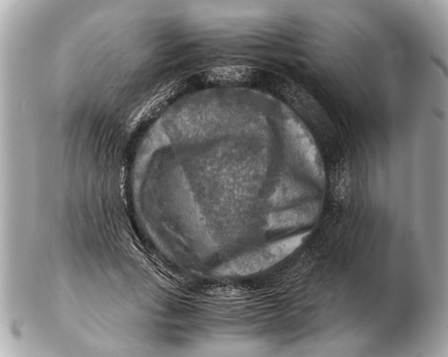 X0000102520735200808291756