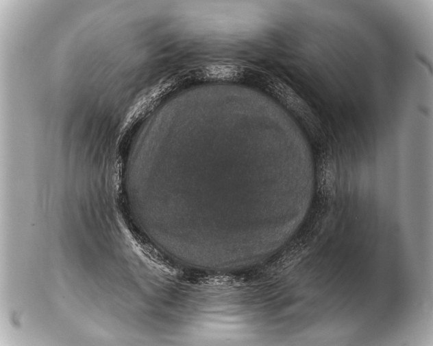 X0000102520736200808291756