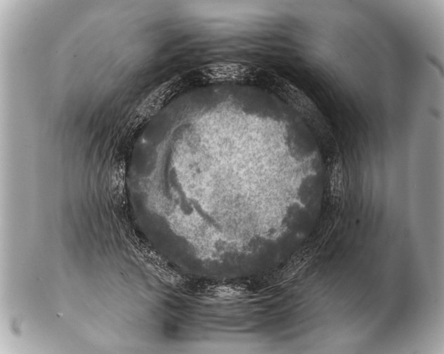 X0000102520737200808291756