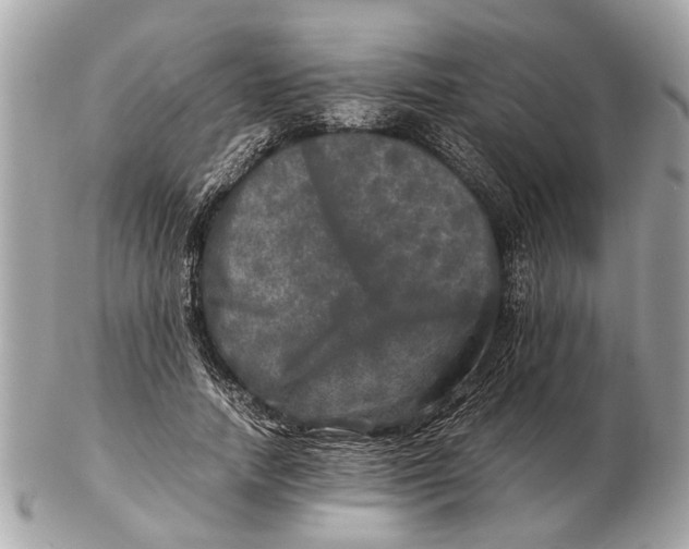 X0000102520738200808291756