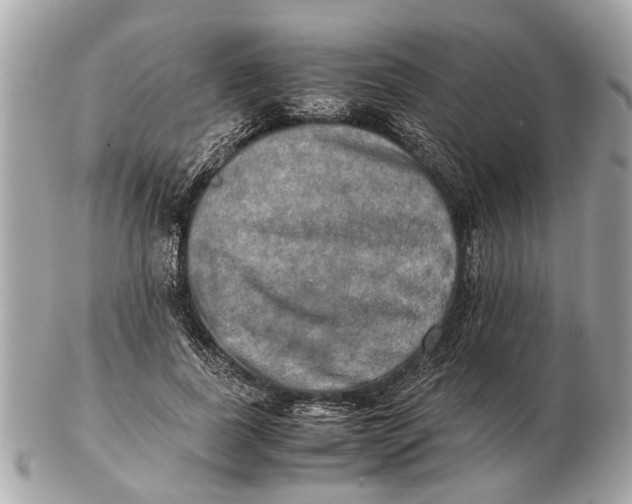 X0000102520739200808291756