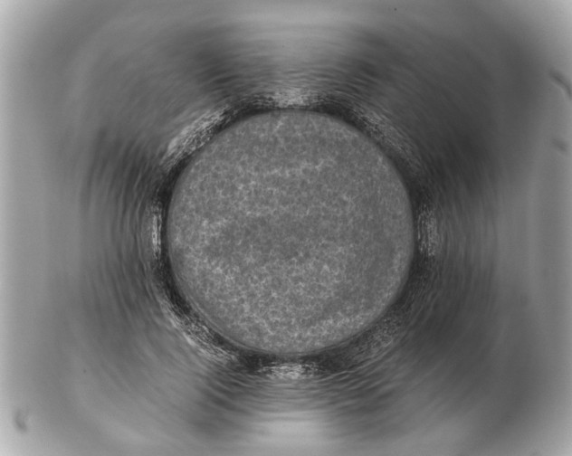 X0000102520740200808291756