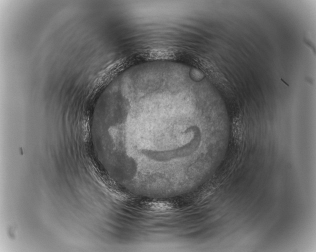 X0000102520741200808291756