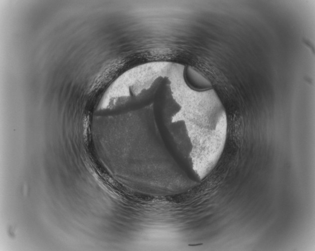 X0000102520742200808291756