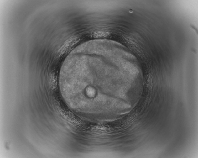 X0000102520743200808291756