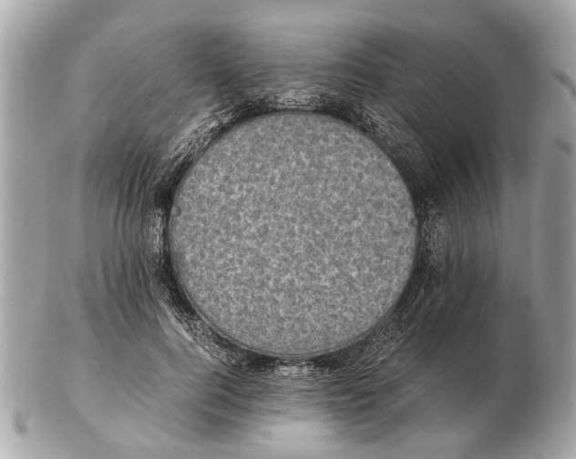 X0000102520744200808291756