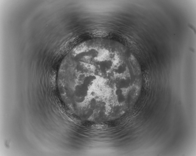 X0000102520745200808291756