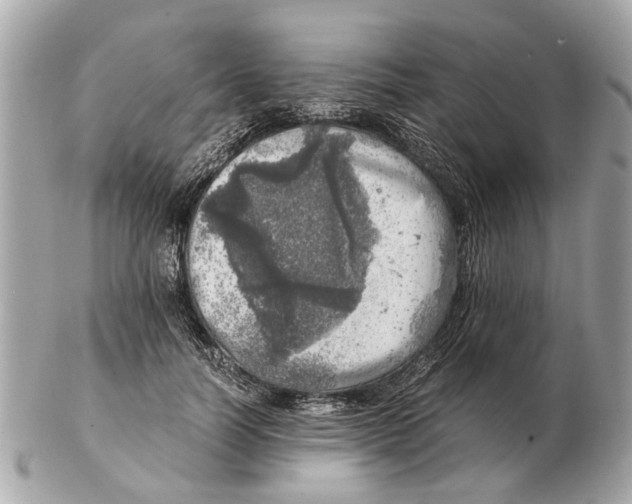 X0000102520746200808291756