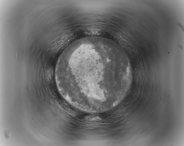 X0000102520747200808291756